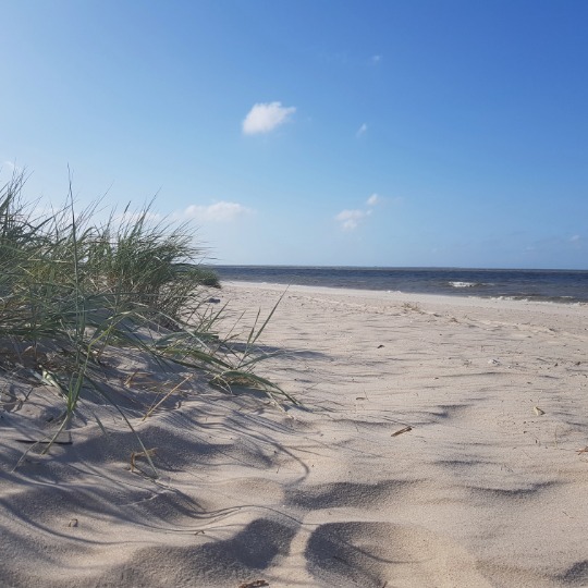 Öffnet die Seite 'Schließzeiten in den Sommerferien'